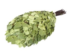 Березовый веник